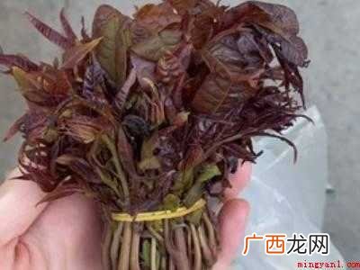 春天炒鸡蛋怎么做好吃
