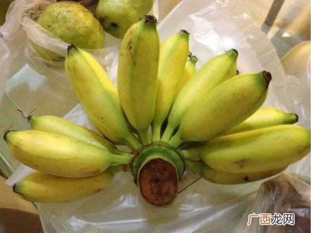 帝王蕉怎样才能熟,小芭蕉和帝王蕉区别?