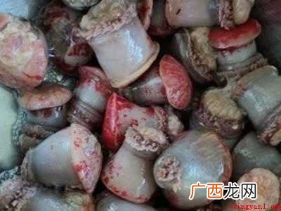 海葵怎么处理才能吃