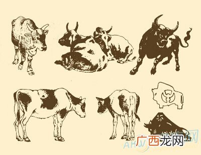 1973年属什么,1973纳音是什么？