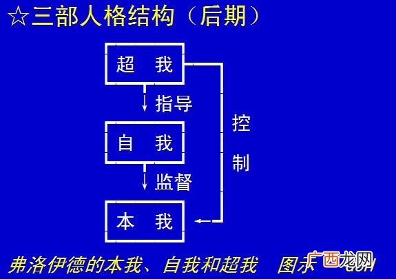 如何理解本我自我超我,举个例子解释下本我·自我·超我三者的关系？