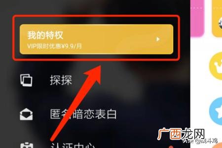 探探vip有什么功能,探探怎么成为vip？