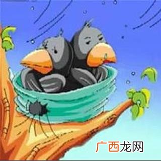 乌鸦兄弟的故事告诉我们什么道理,乌鸦兄弟这个故事，告诉你明白了什么道理？