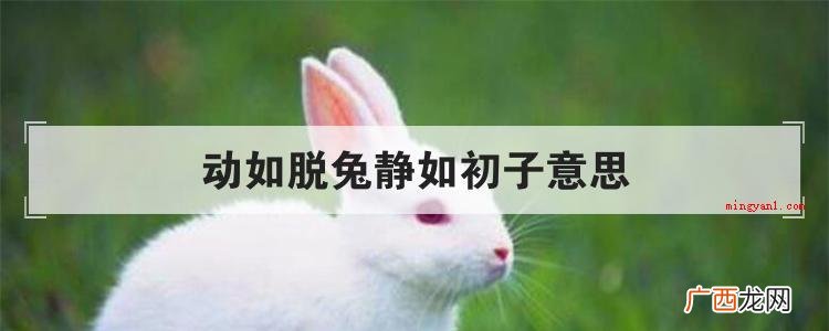 简略回应意思是:都还没行动的情况下,就像未出嫁的女子一样恬静 动如脱兔静如初子意思