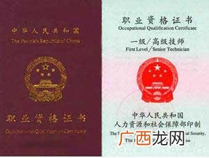 技师职业资格包括哪些,报考技师需要什么条件？