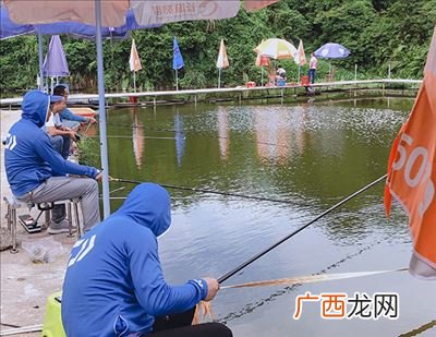 深圳南山区哪里可以钓鱼,深圳哪里能钓鱼？