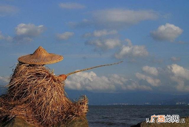 深圳南山区哪里可以钓鱼,深圳哪里能钓鱼？