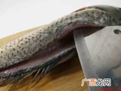 鱼肉里的小刺怎么去除