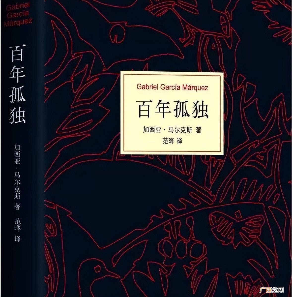 简介及感悟 百年孤独简介