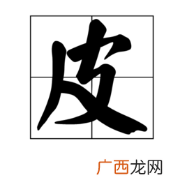 皮字是什么结构的字体,皮渣念什么？