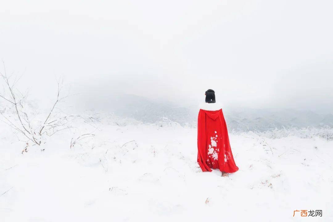 纷纷暮雪下辕门所用的典故是什么,呼风唤雨的世纪一文中引用了唐代诗人谁的诗句?