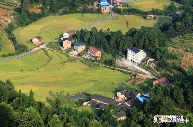 其三十一 四时田园杂兴的意思,四时田园杂兴(其三十一)译文？