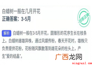 白蜡树和女贞树一样吗? 白蜡树一般在几月开花蚂蚁新村
