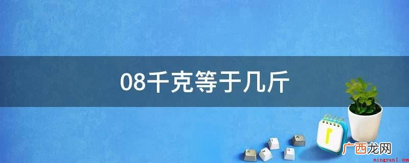 08千克等于几斤