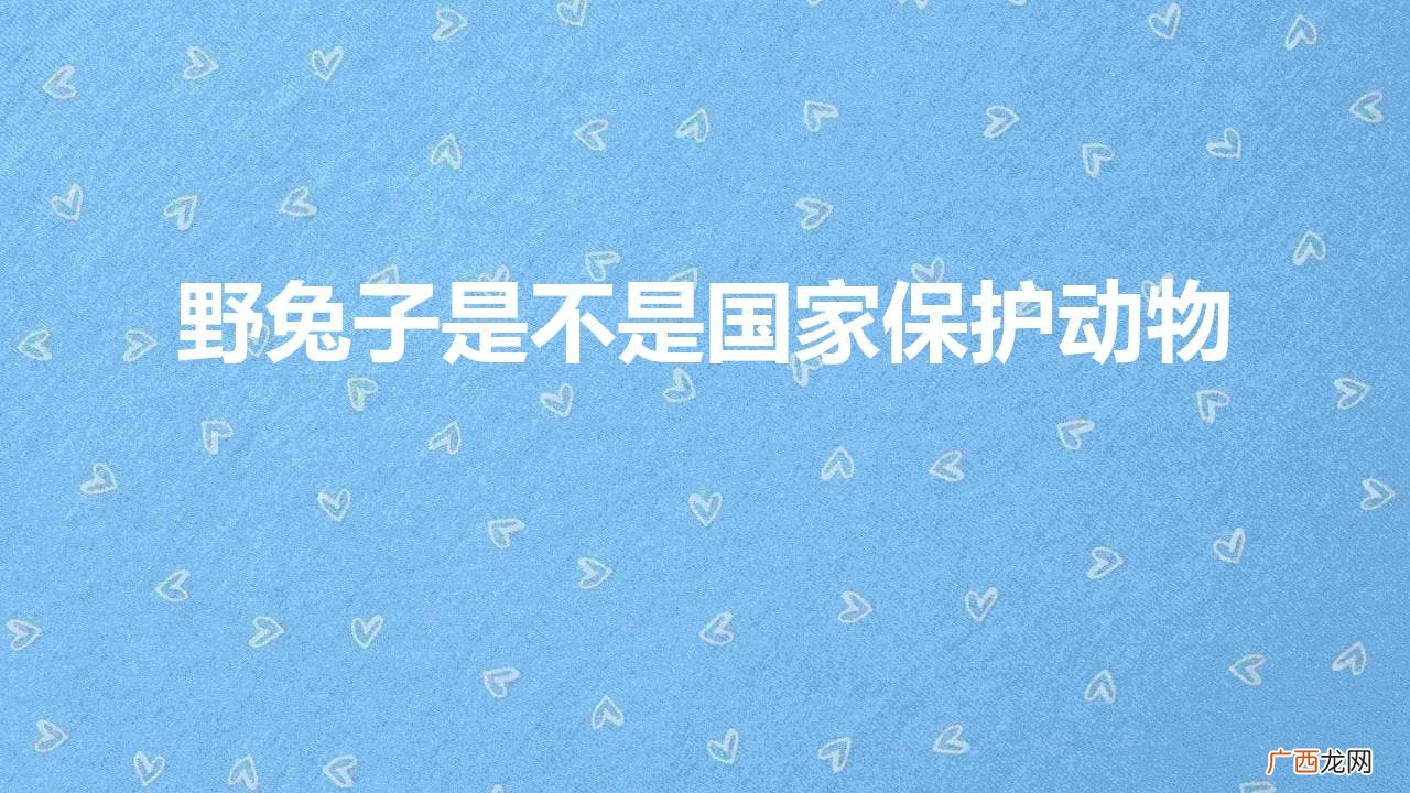 2022年野兔最新规定 野兔子是不是国家保护动物