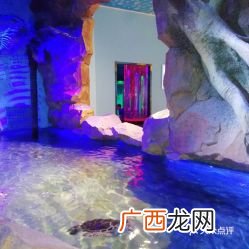 济南海洋馆在哪,离济南最近的海边在什么地方？