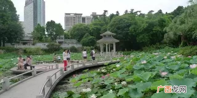 东莞市有几个公园,东莞免费公园排名？