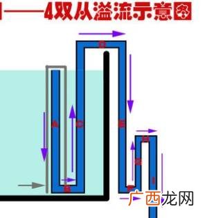 鱼缸最强大的过滤方法,上过滤的鱼缸怎么样水更干净？