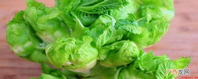 儿菜形态像甘蓝的变种,中心是一个粗大的菜心 儿菜长啥样