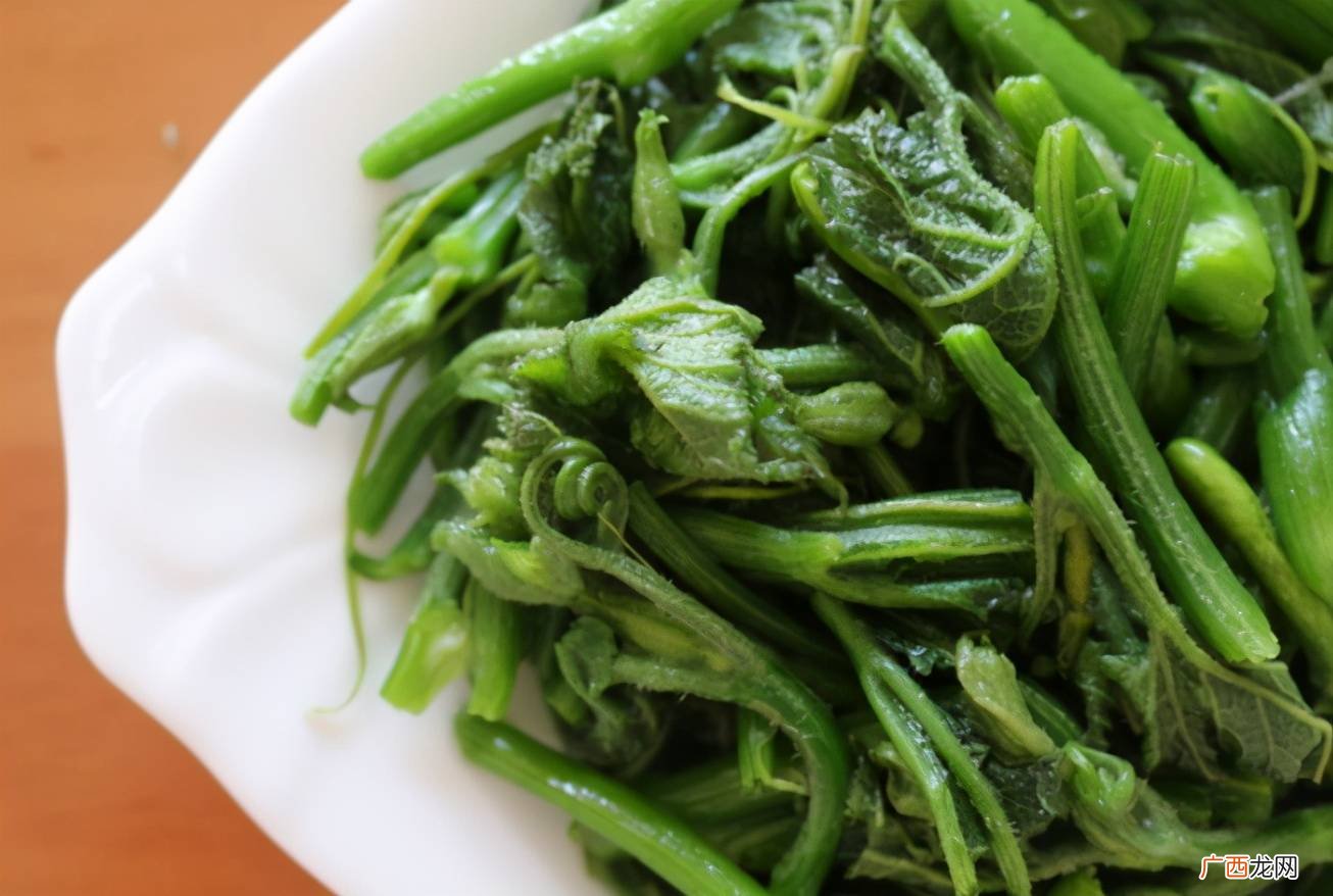 南瓜藤的做法,南瓜藤十大名菜？