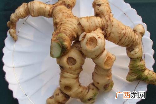 如何制作黄精,黄精的正确吃法大全？