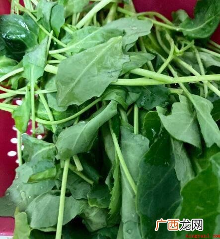 腊肠炒蒜苗,芥兰苗炒腊肠 腊肠怎么做好吃炒菜