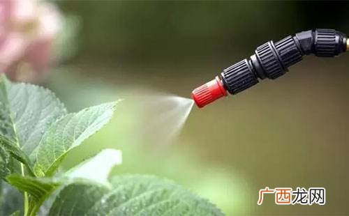 甲胺磷是一种什么农药,甲胺磷用在蔬菜上多久失效？