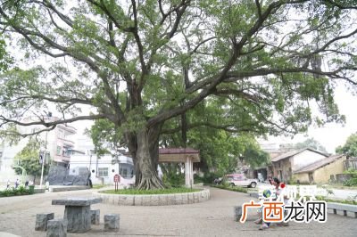 谁知道关于西溪古村的资料,东莞西溪古村24小时营业吗?