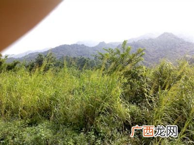 三水旅游景点南丹山介绍,请问佛山三水有什么景点？