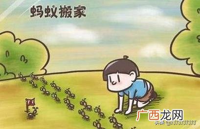 有关蚂蚁的气象谚语,动物预报天气的谚语？