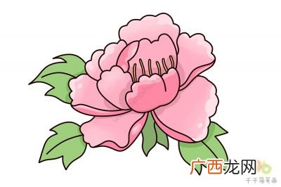 牡丹花怎么画,简单的牡丹花怎么画？