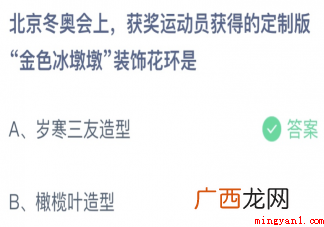 北京冬奥会得到金色冰敦敦的装饰设计花环是什么呢? 北京冬奥会获得金色冰敦敦装饰花环的是