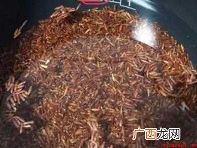 红米饭的做法