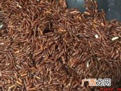 红米饭的做法