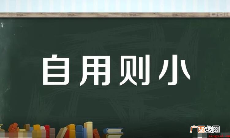 自用则小前一句是什么? 自用则小前一句是什么