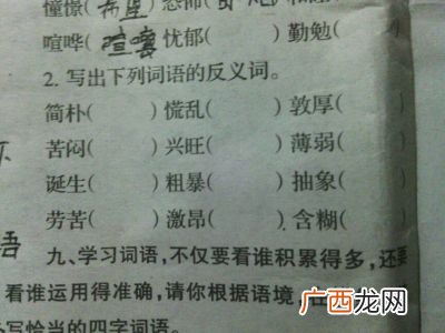 机智的反义词,笨笨的反义词是？