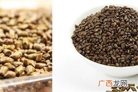 地栗别名叫什么,地梨儿和荸荠区别？