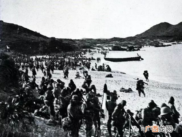 左翼和右翼的区别,左翼和右翼分别是什么意思？