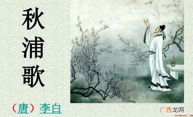 秋浦歌十七首的作者是谁 《秋浦歌十七首》的作者是谁