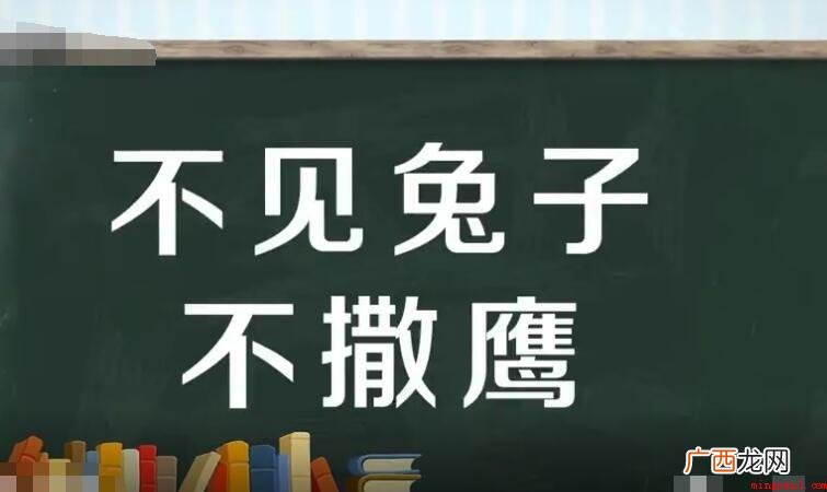 不见兔子不撒鹰是什么意思