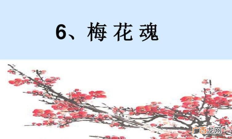《梅花魂》读后感怎么写你? 《梅花魂》读后感怎么写
