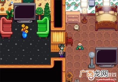 星露谷物语哪个武器好,星露谷物语最厉害工具？
