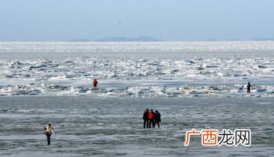渤海是什么海,渤海是公海吗？