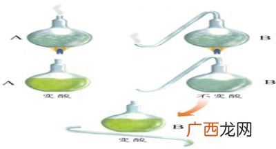 鹅颈瓶实验证明了什么,肉汤是怎样进入鹅颈瓶的？