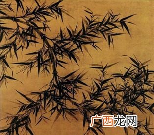 墨竹是什么竹子,植物墨竹生长在那里?