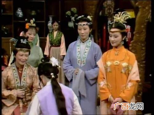 刘姥姥二进荣国府概括,刘姥姥二进大观园故事梗概？