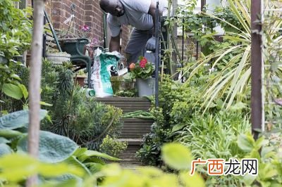 园林和园艺哪个就业比较容易些,园林技术跟园艺哪个前景比较大，就业面广呢？