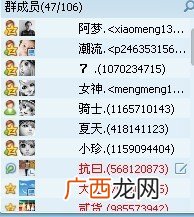 好听的群名,最好听的群名称有哪些？