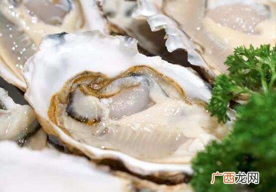 生蚝和扇贝的营养价值区别 生蚝和扇贝的区别