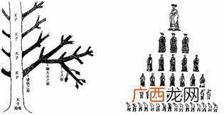 西周宗法制的主要内容和实质,西周什么制度？